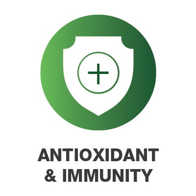antioxidant-icon