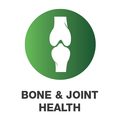 bone-joint-icon