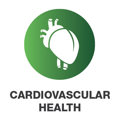 cardio-icon