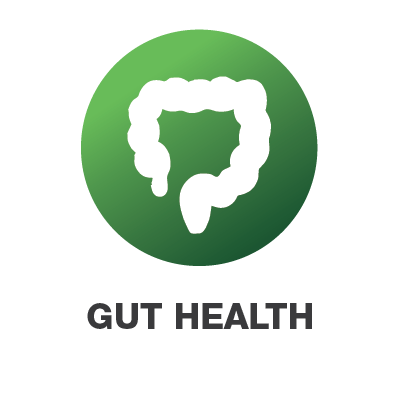 gut-icon