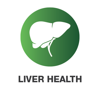 liver-icon